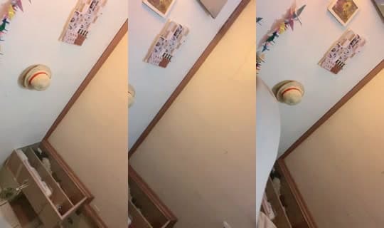 mieru_san's Stream - Mar 29, 2026, 4:32 PM