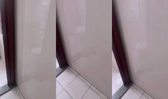 942669620's Stream - Feb 22, 2026, 11:39 AM