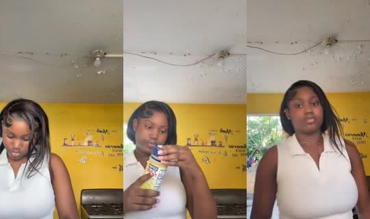 brehannaaa__'s Stream - Feb 20, 2026, 9:30 PM