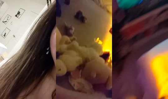 olivvviaxo's Stream - Mar 1, 2026, 3:05 AM