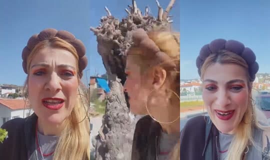 Stream pnar4559 - 4 Mar 2026, 11.40