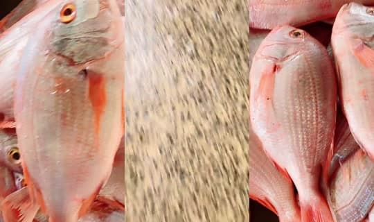 coumba.gn24's Stream - Apr 9, 2026, 2:01 PM