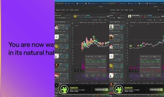 kryptokinglive's Stream - Feb 28, 2026, 10:14 AM