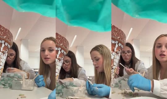 _erica.n__'s Stream - Mar 3, 2026, 2:09 PM