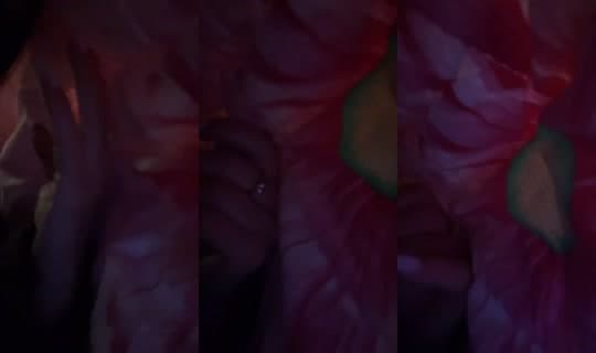 Stream luiizzzzaaaa - 11 Apr 2026, 10.09