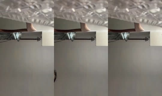 dn_01deliadesynatalia.sm の配信 - 2026年3月22日 16:18