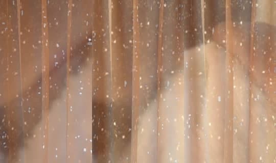 user4179491437806's Stream - Mar 3, 2026, 12:28 PM