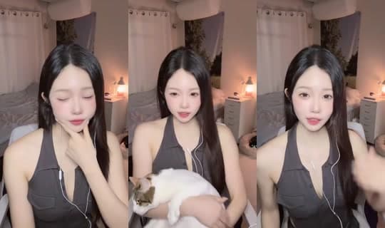 ssiny_01's Stream - Mar 3, 2026, 11:08 AM