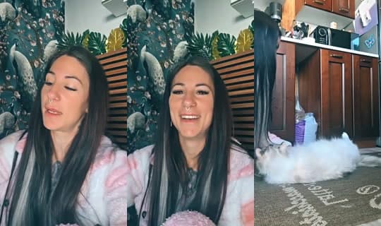 Transmisión de badgirl1391 - 2 mar 2026, 7:42