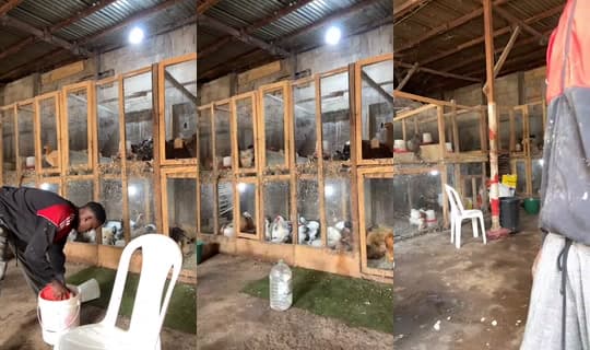 moubaraknchare2's Stream - Feb 5, 2026, 11:22 AM