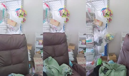 Transmisión de TUNGPUY - 10 abr 2026, 4:51