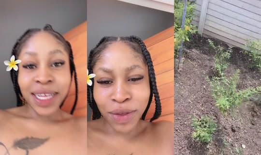 kim_nabane's Stream - Feb 27, 2026, 8:57 AM