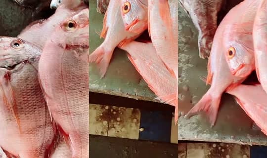 coumba.gn24's Stream - Apr 9, 2026, 4:06 PM