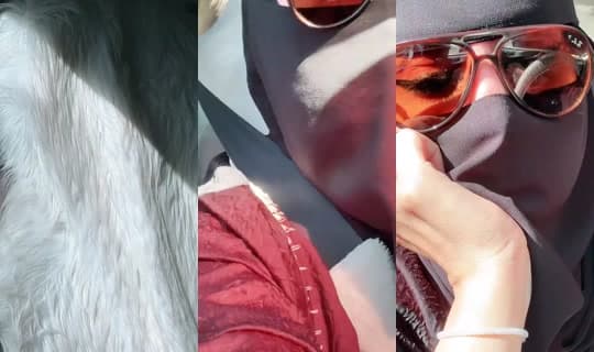 toot137 の配信 - 2026年3月1日 12:19