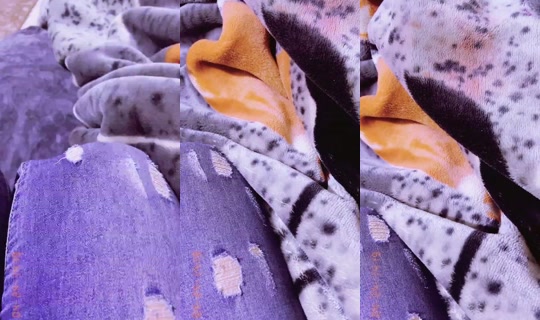 tote_830 Recorded on Mar 2, 2026, 2:06 AM