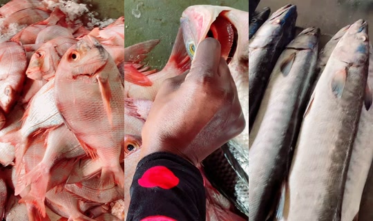 coumba.gn24 Recorded on Apr 15, 2026, 9:01 AM