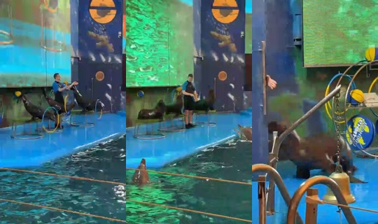 bosss_andrey Recorded on Mar 1, 2026, 10:19 AM