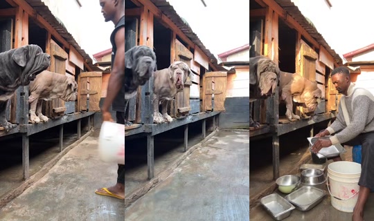 moubaraknchare2 Recorded on Feb 12, 2026, 6:40 AM