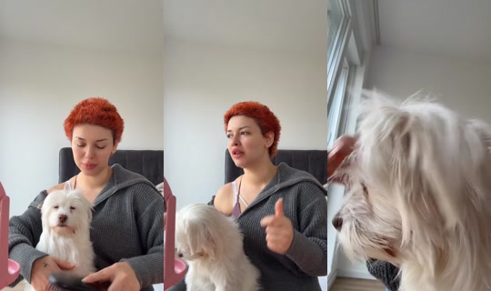 jupiter1202__ Gravado em 4 de mar. de 2026, 10:17