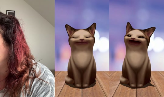 backup.miss Recorded on Apr 13, 2026, 12:01 PM