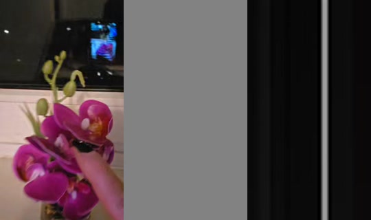 artofcoulor 2026年3月4日 4:29 に録画