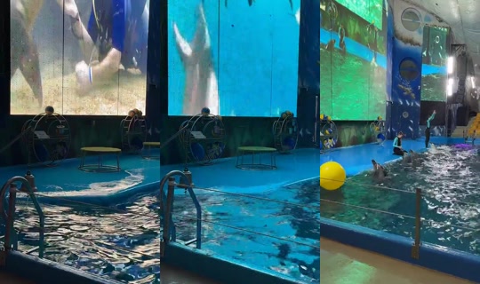 bosss_andrey Recorded on Feb 28, 2026, 4:22 PM