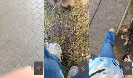 happy.star276 تم التسجيل في 16 أبريل 2026، 3:19 م