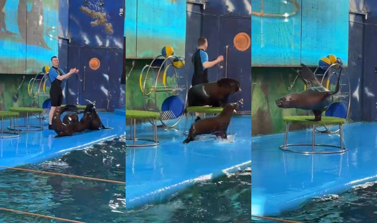 bosss_andrey Recorded on Feb 28, 2026, 1:21 PM