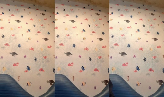 yuragaki_aishiteru Recorded on Apr 16, 2026, 2:44 PM