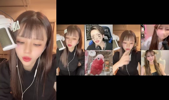 kushizashinida 2026年3月2日 12:41 に録画